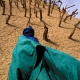 Sahel, dove il clima detta legge