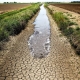 Il cambiamento climatico alimenterà l’insurrezione estremista in Africa?